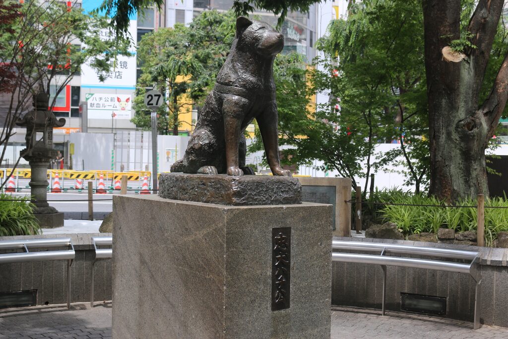 【公園通り沿いに会場が集まる】渋谷エリアのおすすめホテル厳選|代々木第一体育館・LINE CUBE SHIBUYAなど主要会場までの実測距離つき 1